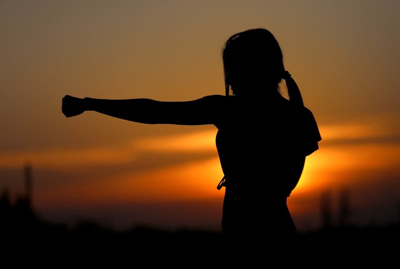 Martial Arts Karate Silhouette